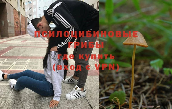 ешки Абдулино