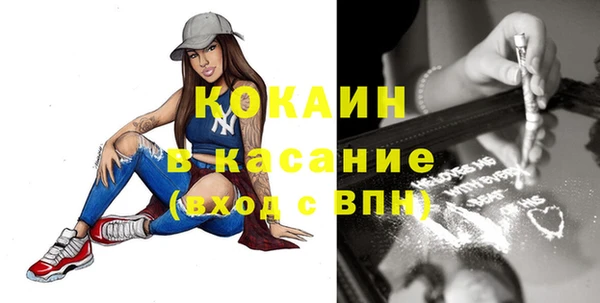 ПСИЛОЦИБИНОВЫЕ ГРИБЫ Абаза