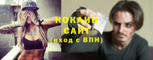 ПСИЛОЦИБИНОВЫЕ ГРИБЫ Абаза
